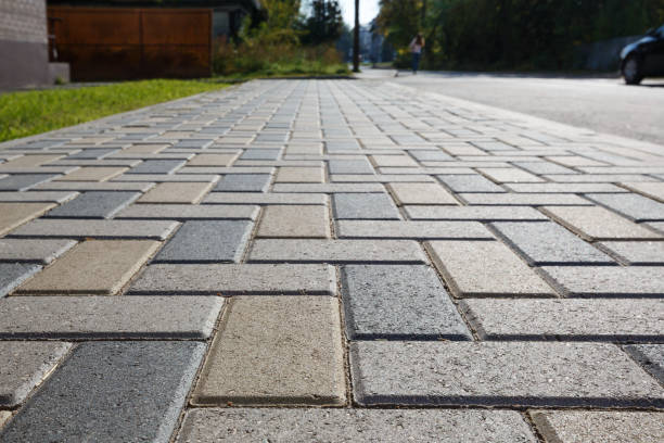 Best Professional Driveway Pavers  in Pine Level, AL
