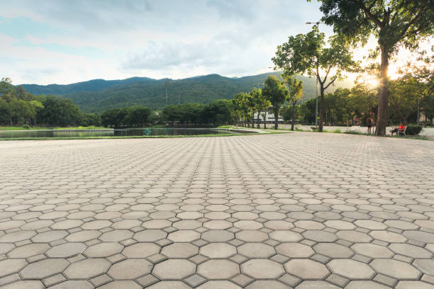 Best Professional Driveway Pavers  in Pine Level, AL