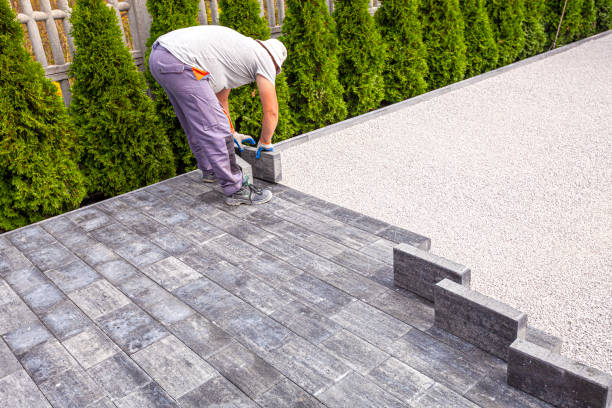 Best Local Driveway Pavers  in Pine Level, AL