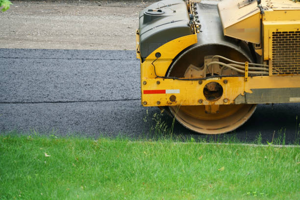 Professional Driveway Pavers in Pine Level, AL