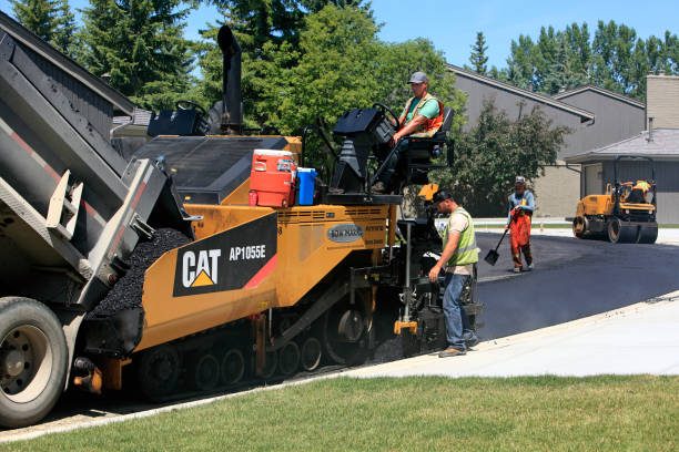 Best Custom Driveway Pavers  in Pine Level, AL